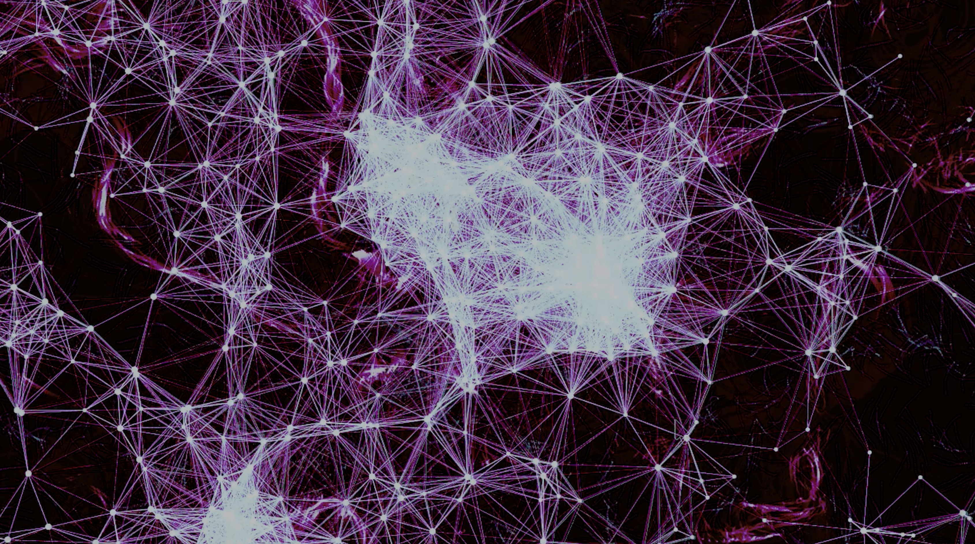 AI Experience: See Through The Mind Of A Machine